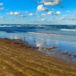 Meet your Posher, Kenlyn